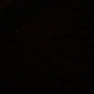 Meet your Posher, Caden